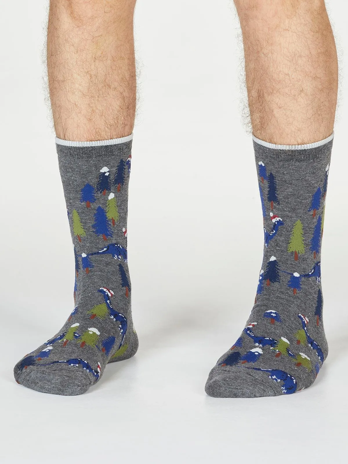 Jimason Dinosaur Socks - Dark Grey Marle