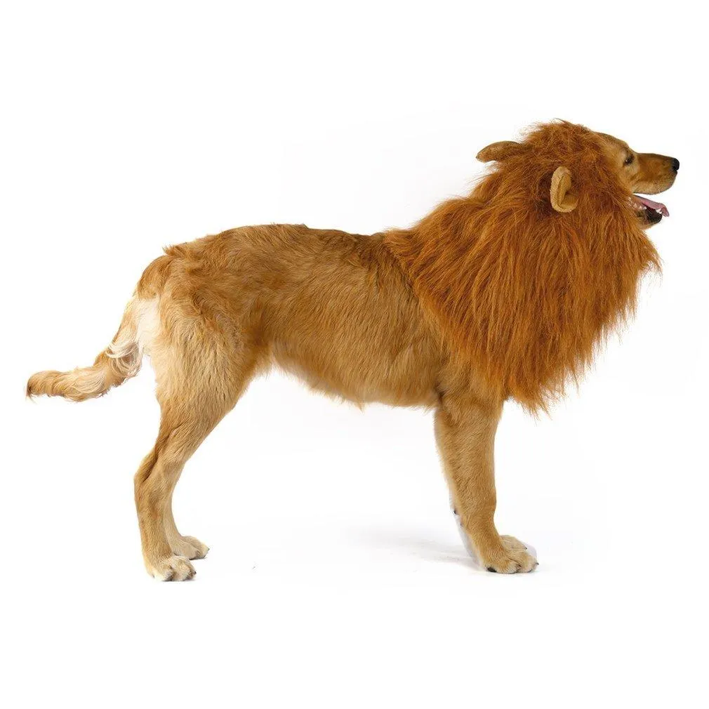 Lion Theme Dog Wig