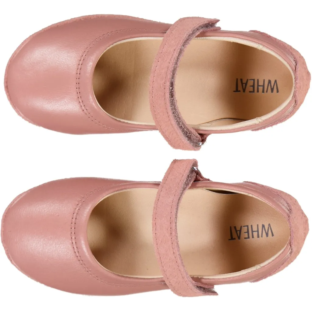 Nerea Ballerina - cameo blush