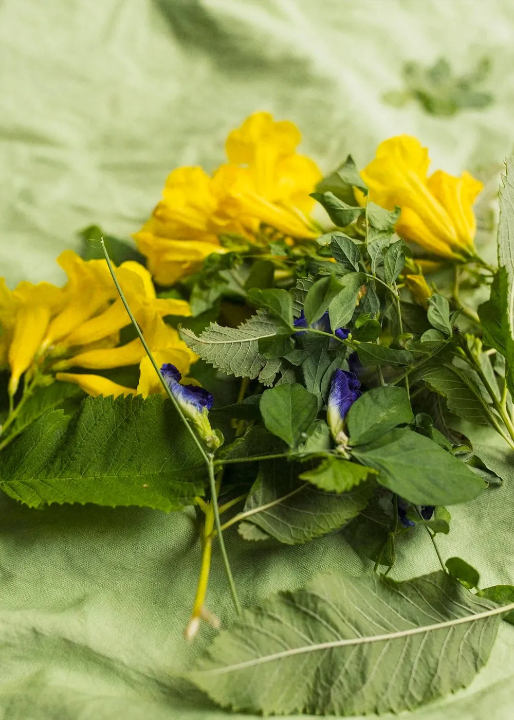 Sage Baby Bloomers