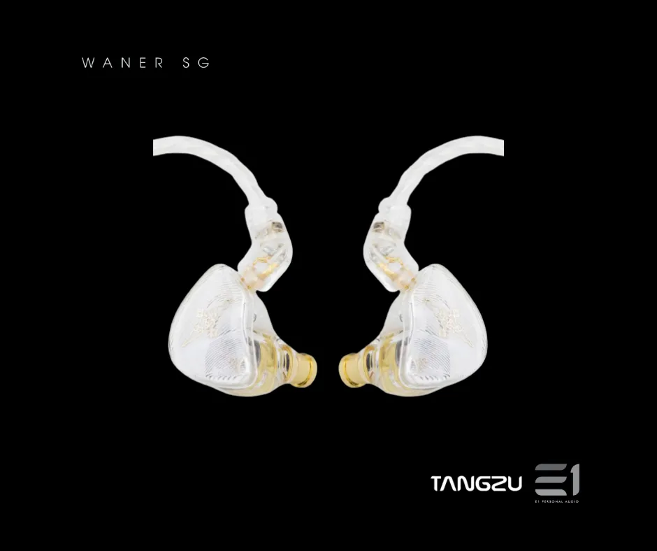 Tangzu Wan'er Single DD Universal-fit In-ear Monitors