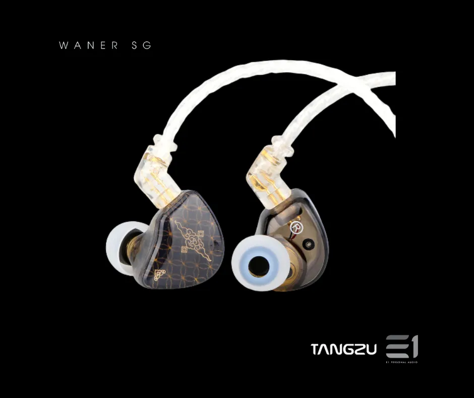 Tangzu Wan'er Single DD Universal-fit In-ear Monitors