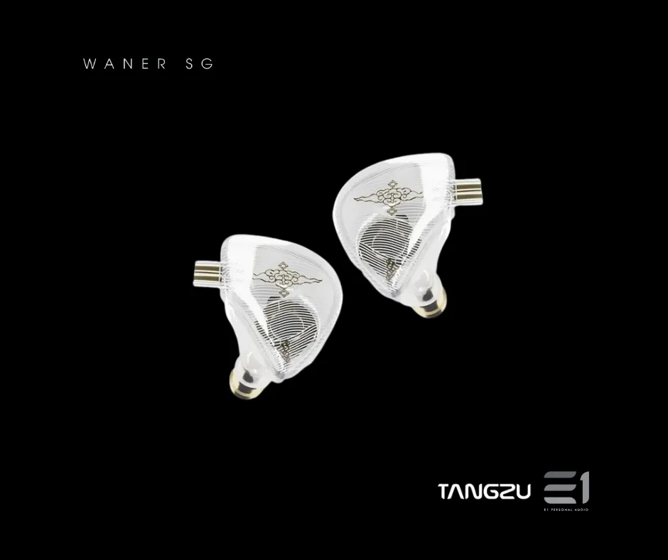 Tangzu Wan'er Single DD Universal-fit In-ear Monitors